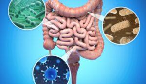 Obesità colpa del microbiota?