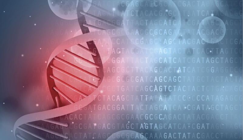 DNA e mutazioni