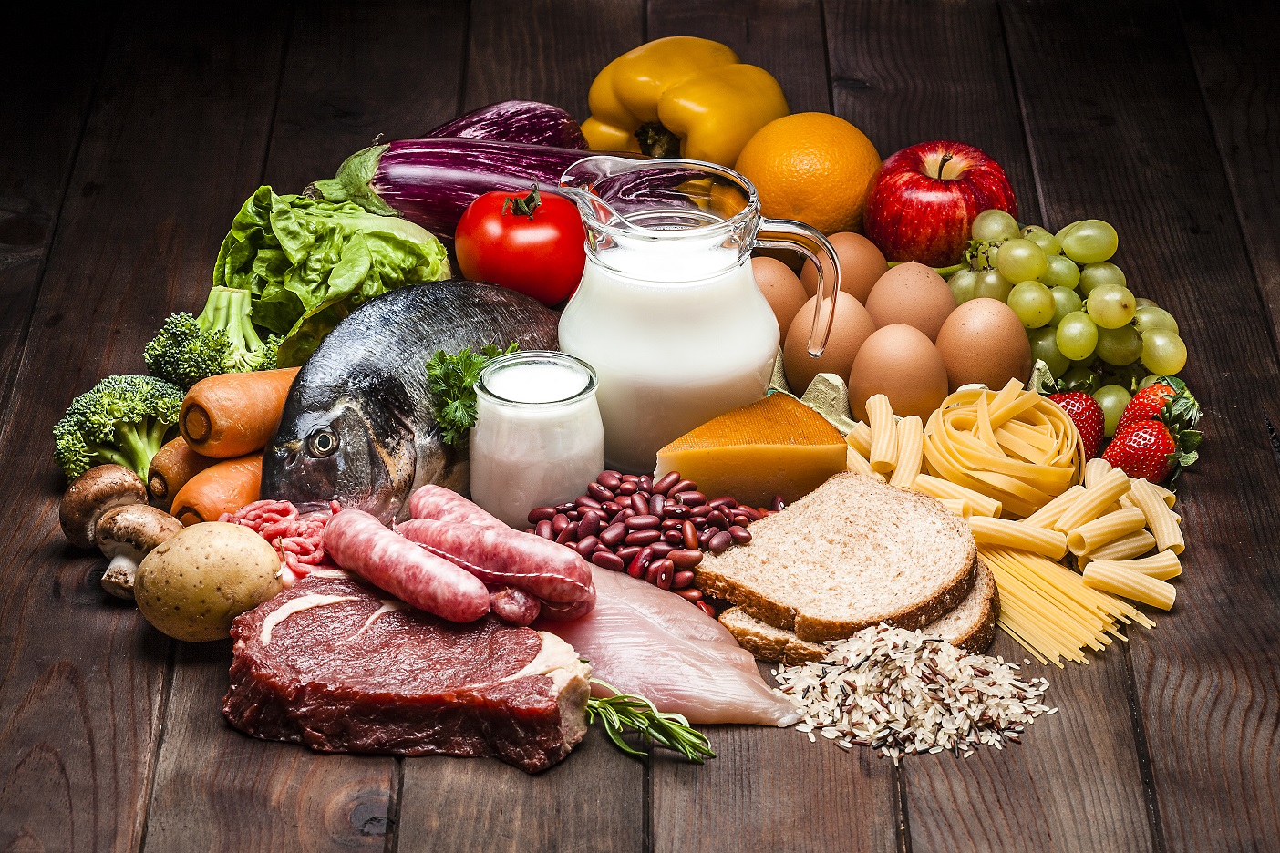 Le basi della nutrizione umana Le basi della nutrizione umana