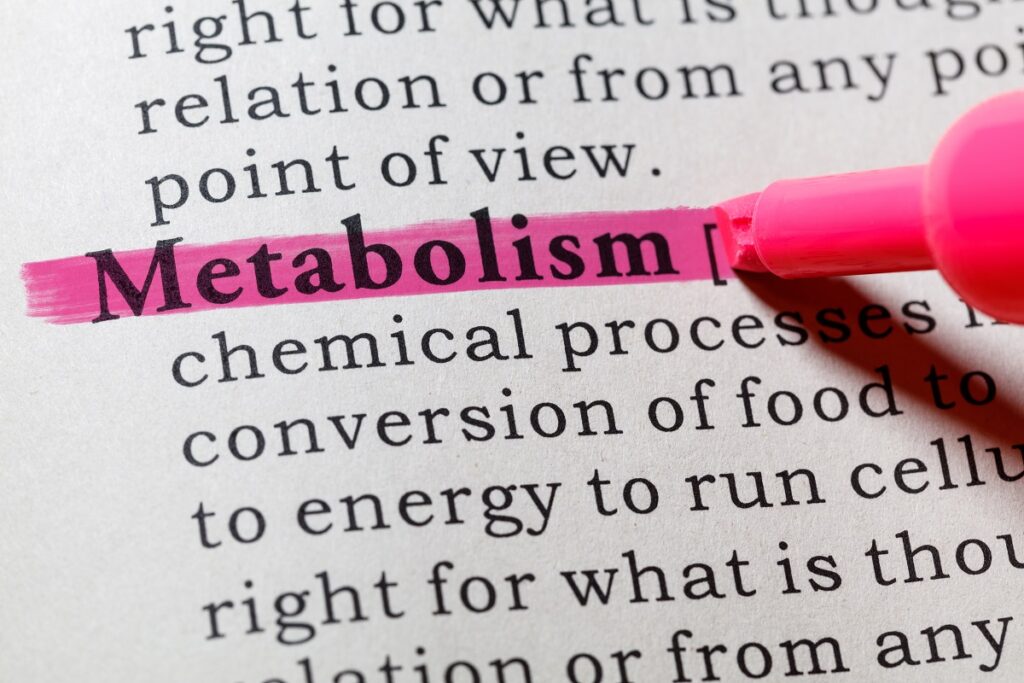 Il metabolismo energetico