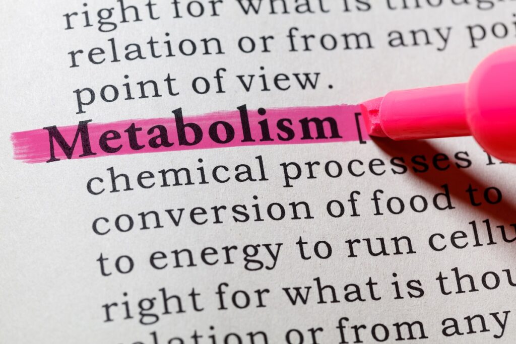 Il metabolismo energetico Il metabolismo energetico