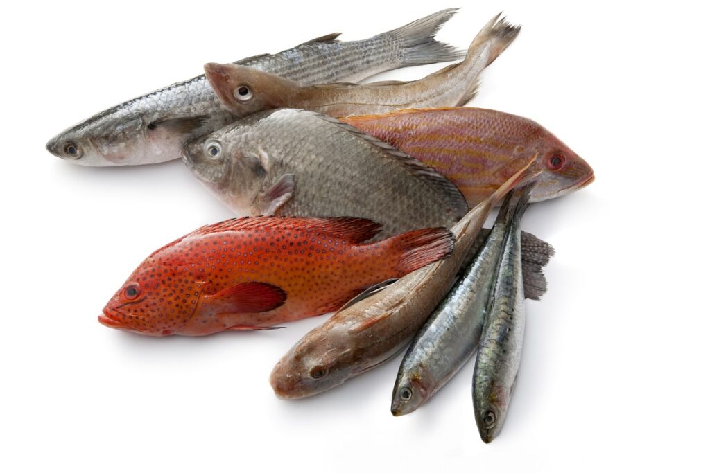 Allergia al pesce Allergia al pesce