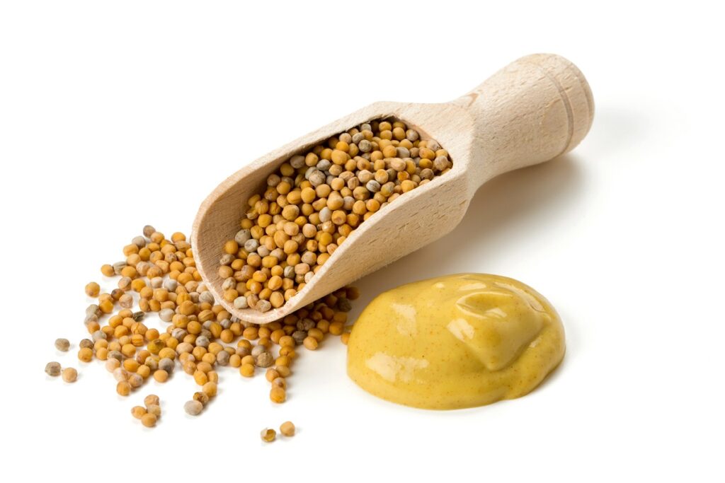 Allergia alla senape Allergia alla senape