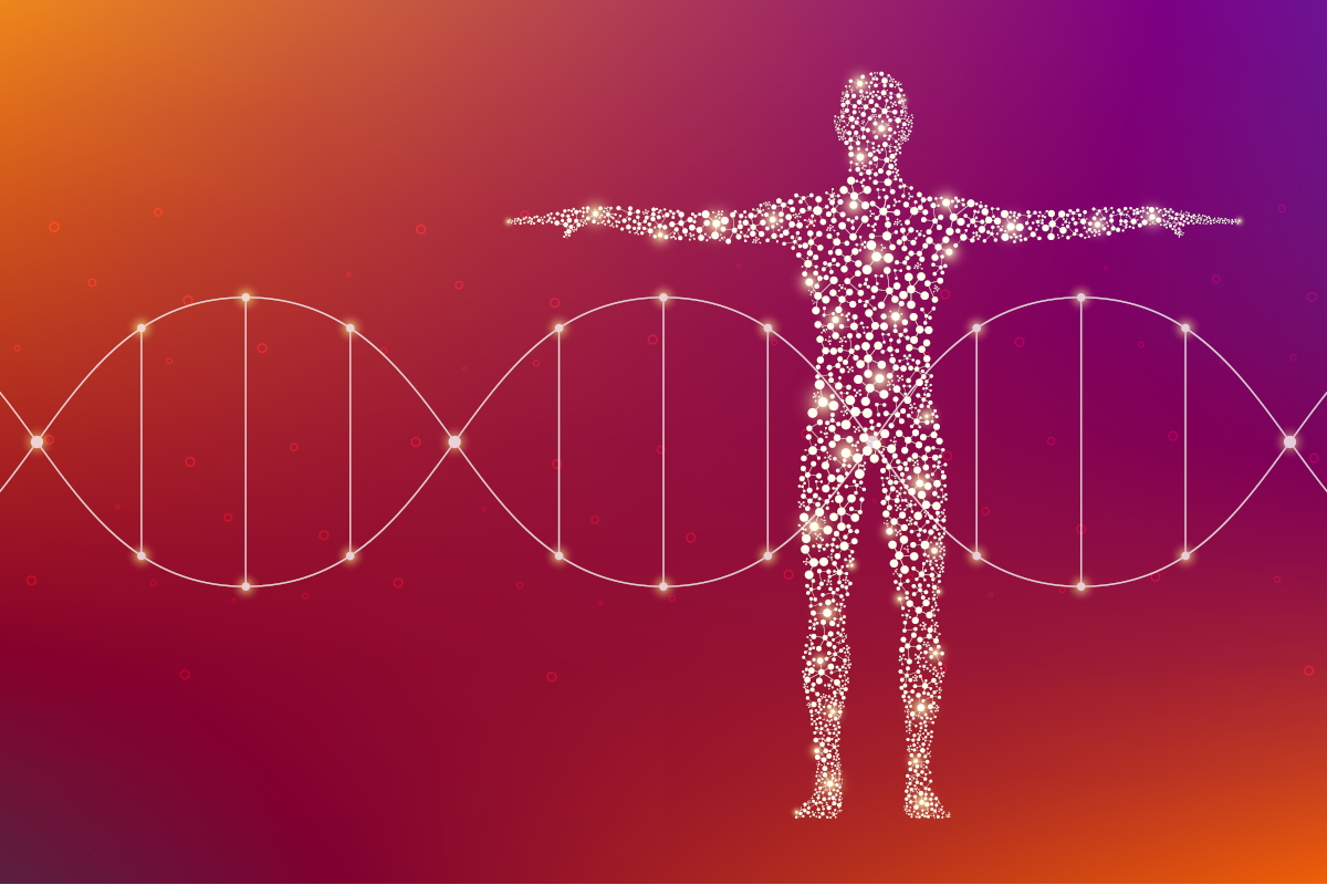 La composizione chimica del corpo umano_web La composizione chimica del corpo umano_web