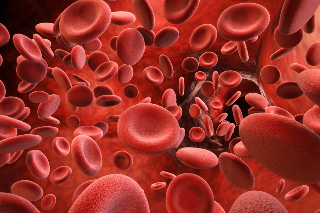 sindrome-da-anticorpi-antifoslipidi-- sindrome-da-anticorpi-antifoslipidi