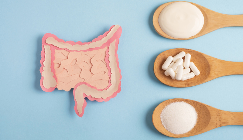 Tumore al seno e microbiota