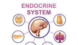 disordini-endocrini-e-metabolici