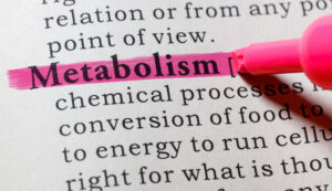 il-metabolismo-energetico