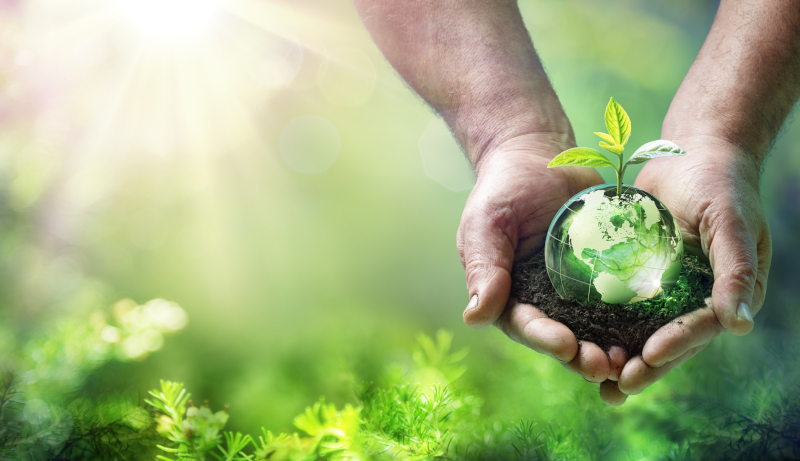 alimentazione-sostenibile
