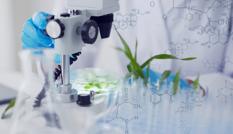 La dieta modula i microRNA