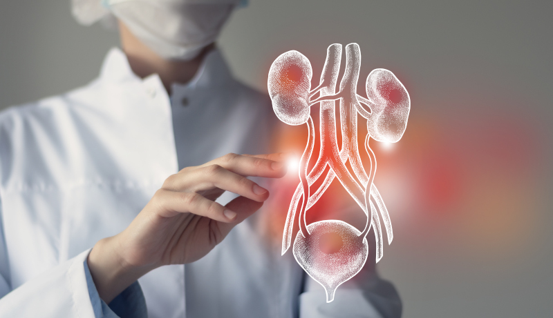 Obesità addominale, dieta e vescica iperattiva
